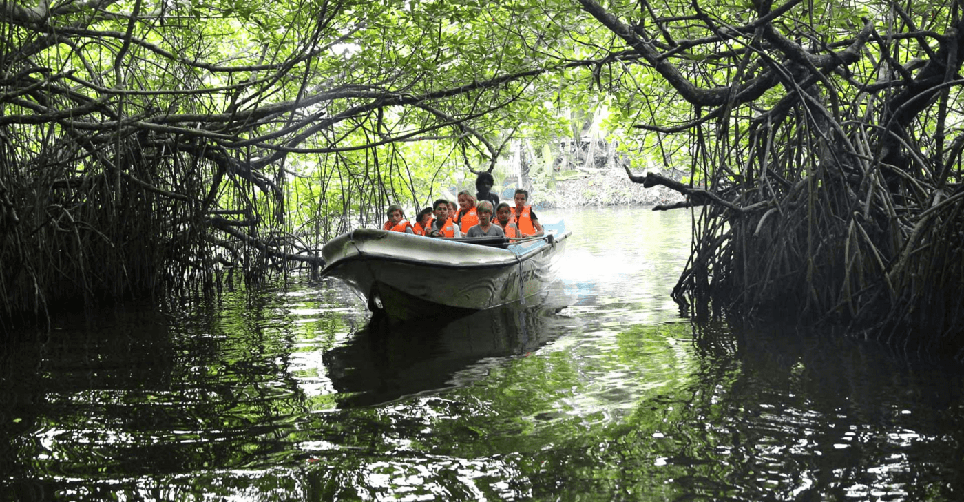 Madu River Safari